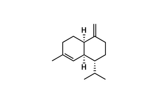 γ-Muurolene