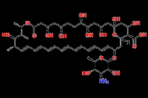 Amphotericin B