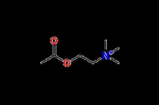 Acetylcholine
