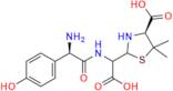 Amoxicillin EP Impurity D
