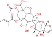 Azadirachtin H