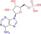 5\'-Adenylic Acid