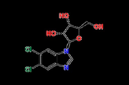 5,6-Dichloro-1-β-D-ribofuranosylbenzimidazole