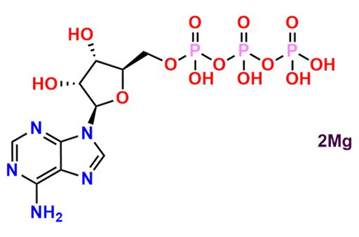Adenosine 5-triphosphate Magnesium Salt