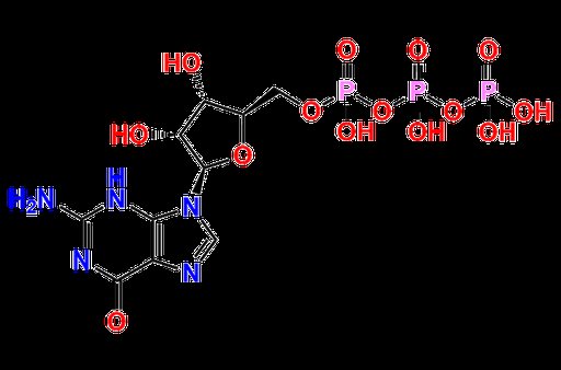Guanosine Triphosphate
