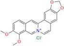 Dehydroberberine Chloride