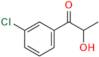 Bupropion USP Related Compound C