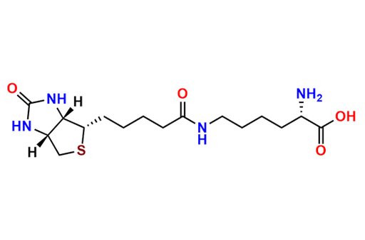Biocytin