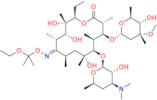 Oxacyclotetradecane Erythromycin Derivatives