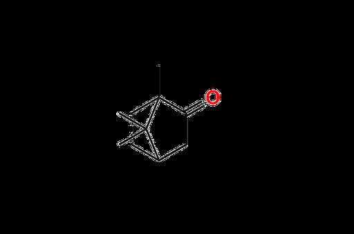Camphor