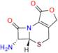 Cefazedone Impurity 12