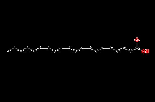 Arachidonic Acid