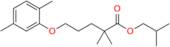 Gemfibrozil Isobutyl Ester