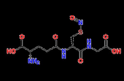 S-Nitroso Glutathione
