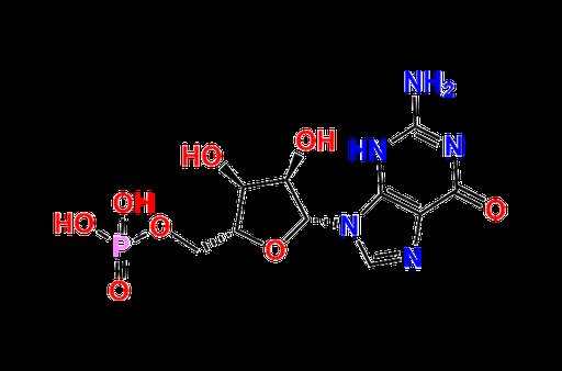 Guanosine Monophosphate