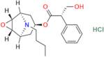Hyoscine Butylbromide EP Impurity E