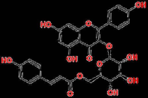 Kaempferol-3-O-(6''-O-p-Coumaroyl)Glucoside