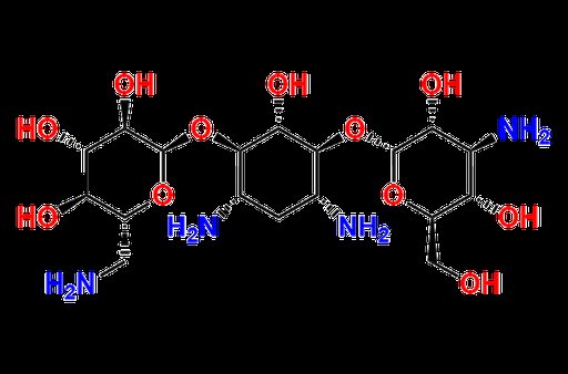 Kanamycin