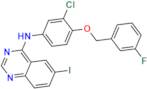 Lapatinib Impurity 15