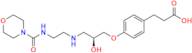 Landiolol Impurity 5