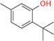 6-tert-Butyl-m-cresol