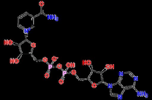 β-Nicotinamide Adenine Dinucleotide