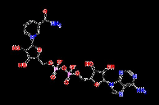 B-Nicotinamide adenine dinucleotide, sodium salt