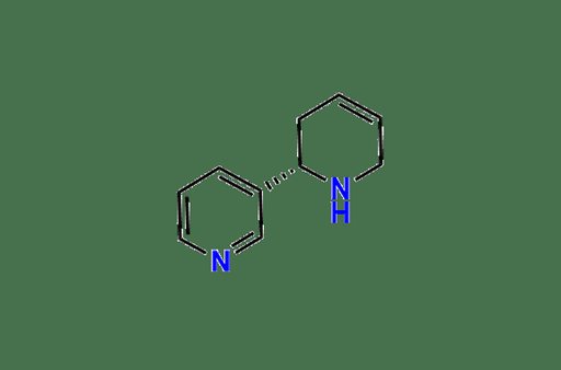 Nicotine EP Impurity A