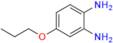 Oxibendazole Impurity 4