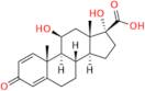 Prednienic Acid
