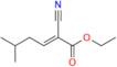 Pregabalin Impurity 6