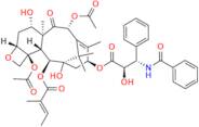 Paclitaxel EP Impurity A