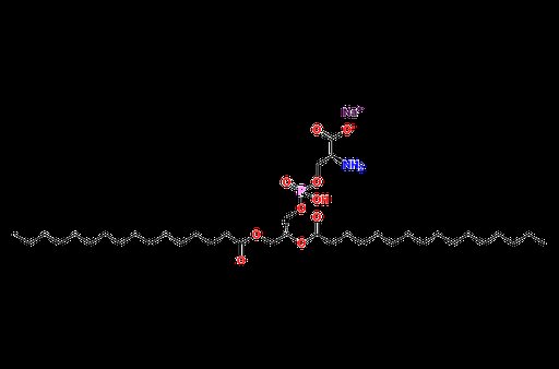 1,2-Dipalmitoyl-sn-glycero-3-PS