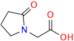 Piracetam EP Impurity D