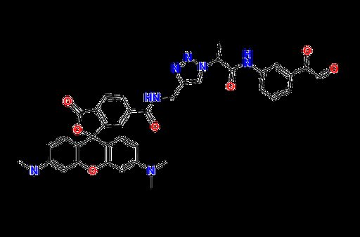 Citrulline-Specific Probe-Rhodamine