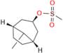 Retapamulin Impurity 7