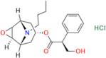N-Butyl Nor Scopolamine Hydrochloride