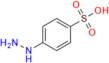 Phenylhydrazine-4-sulfonic Acid