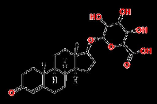 Testosterone Glucuronide