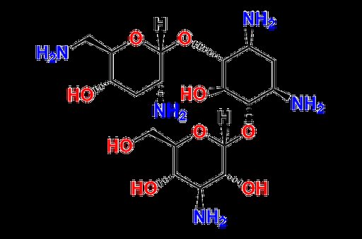 Tobramycin