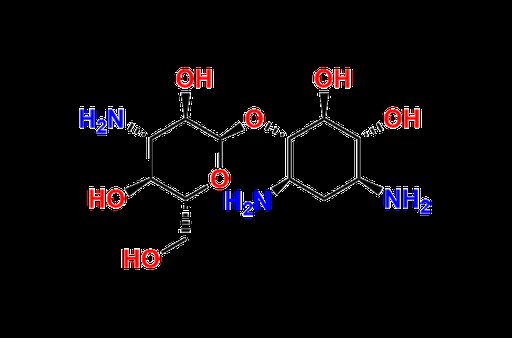 Deoxystreptamine Kanosaminide