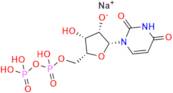 Uridine 5\'-Diphosphate Sodium Salt