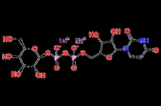 UDP-α-D-Galactose