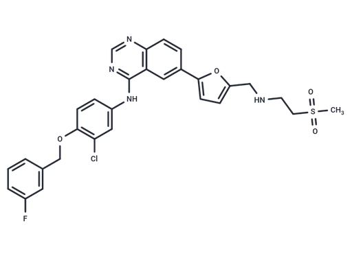Lapatinib