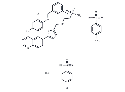 Lapatinib ditosylate monohydrate