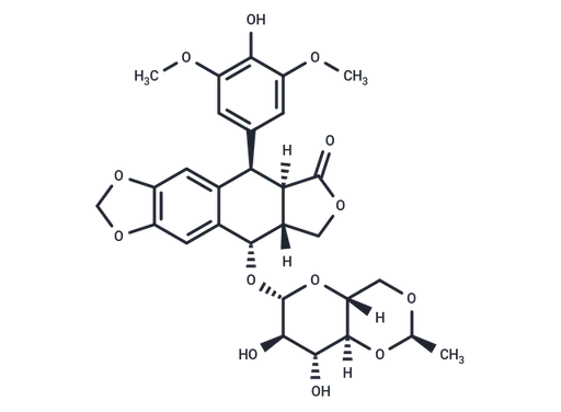 Etoposide