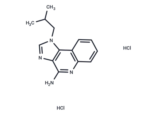 Imiquimod 2HCl
