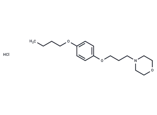 Pramocaine hydrochloride