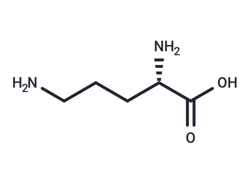 L-Ornithine