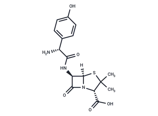 Amoxicillin
